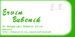 ervin bubenik business card